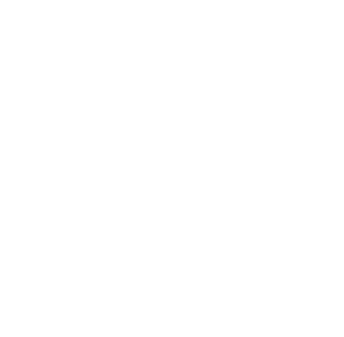 The Body Shop Partner Logo