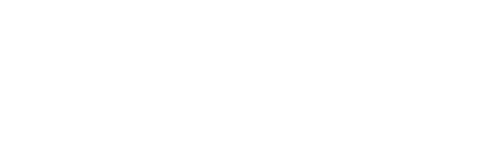 Vena Partner Logo